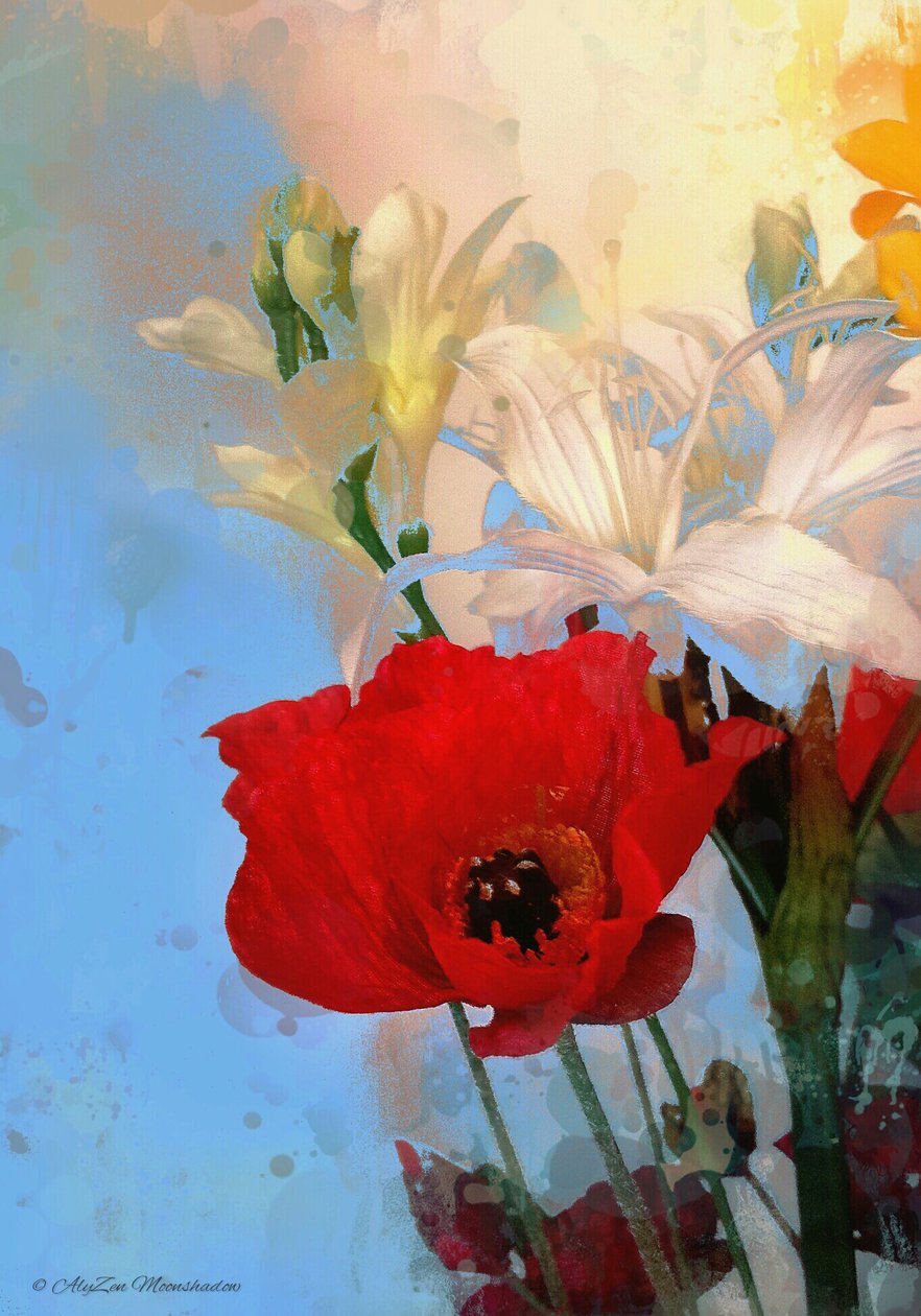 Klaproos op Blauw, 2014 door AlyZen Moonshadow