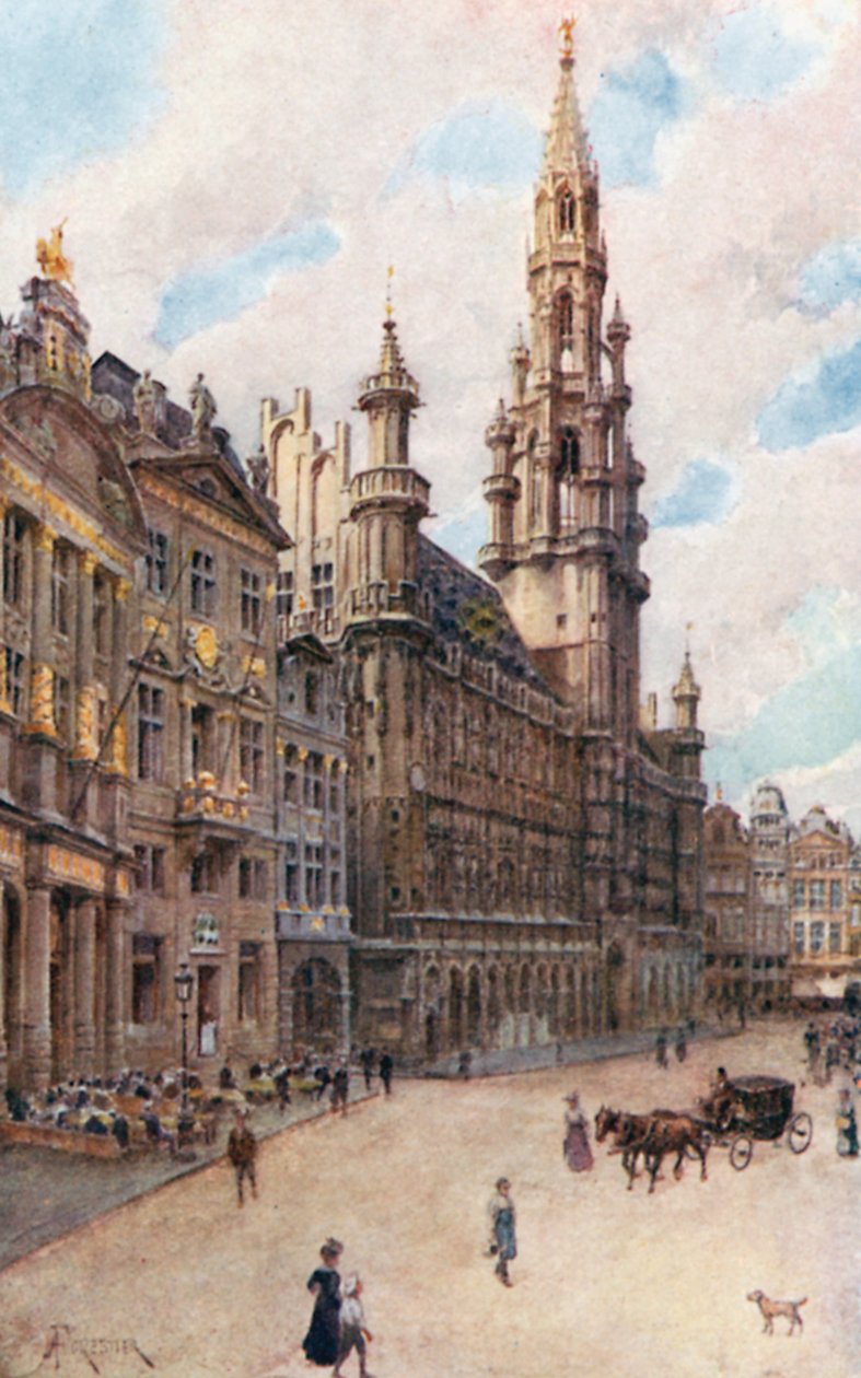 Hotel de Ville, Brussel (met La Maison des Brasseurs, La Maison du Cygne en La Maison de l