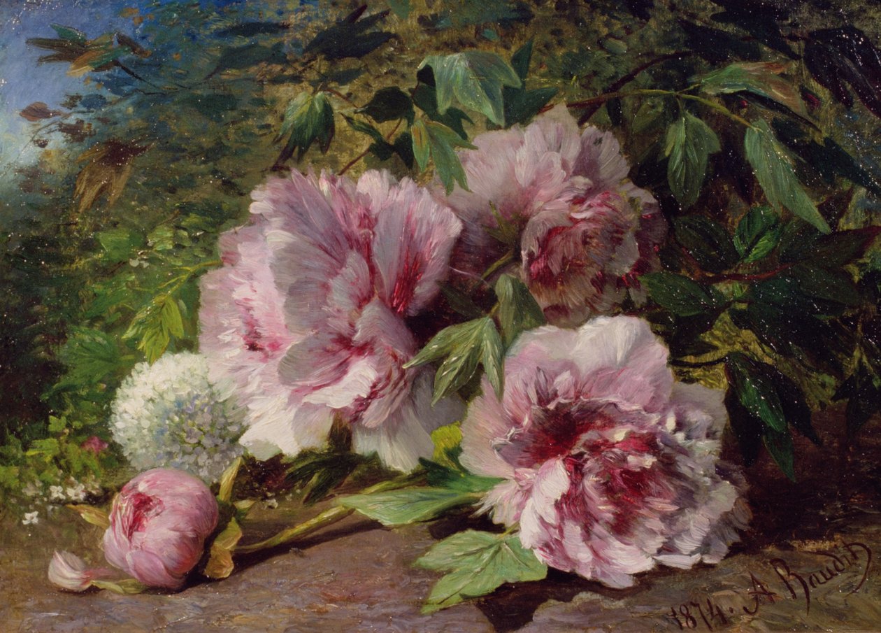 Studie van Pioenen, 1874 door Amedee Baudit