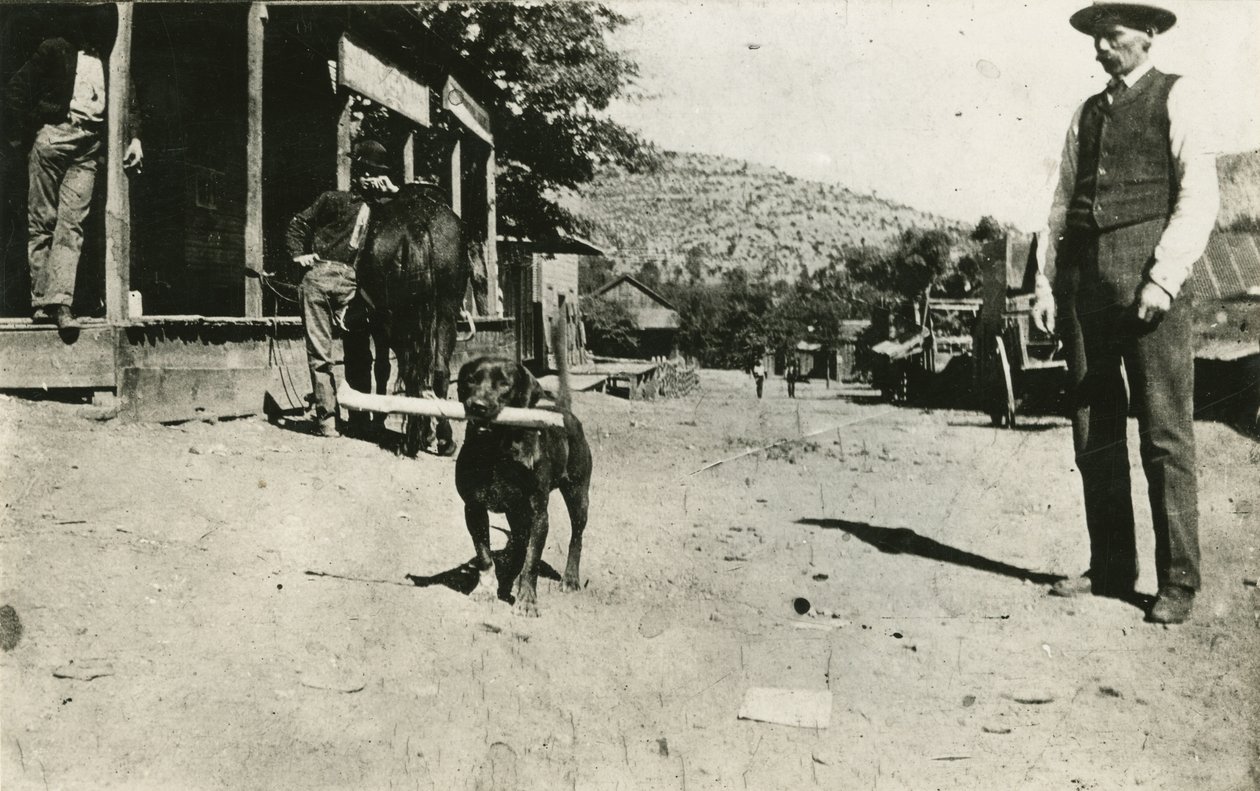Butch Cassidy (1886-1908) door American Photographer