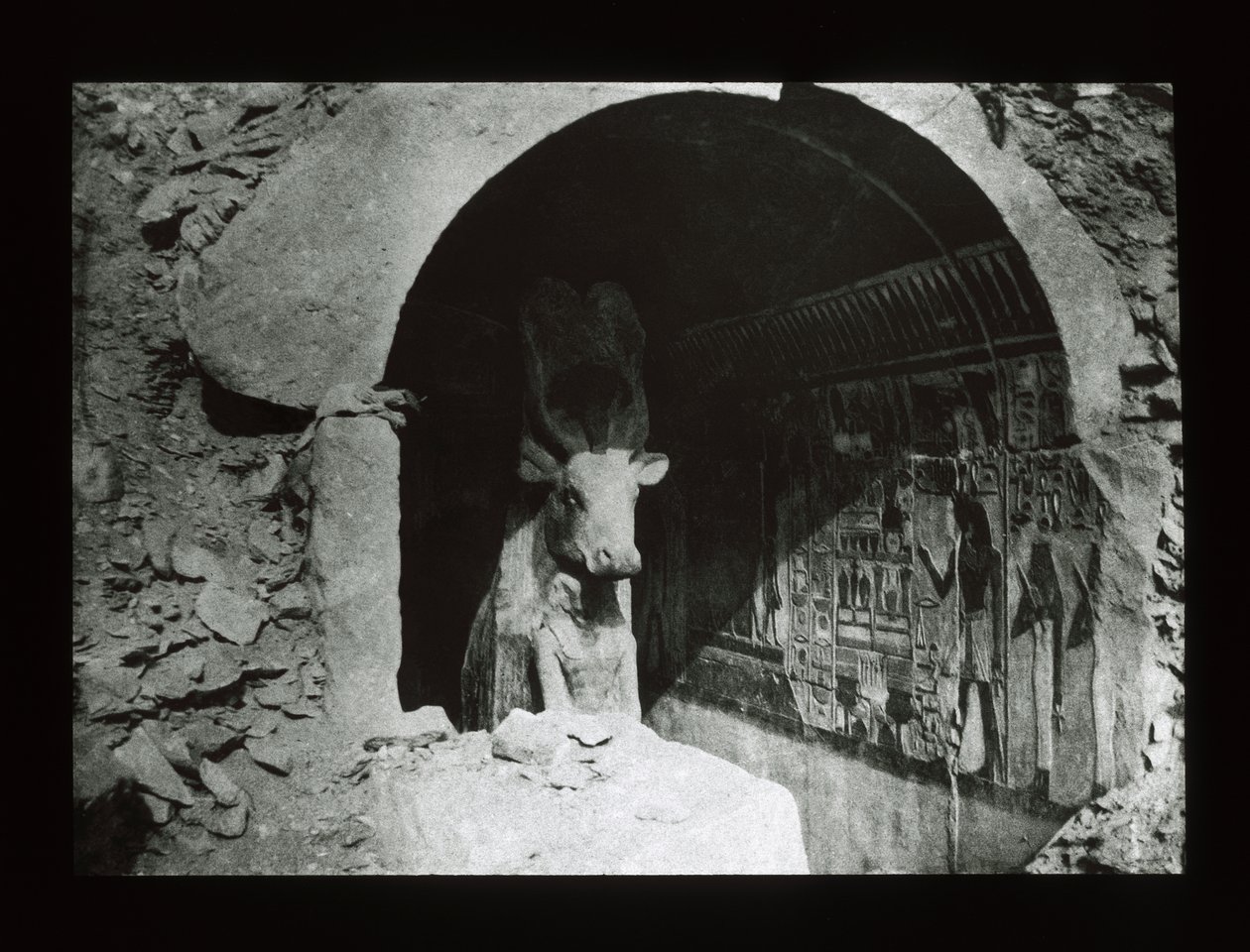 Hathor-koe in een schrijn uit de 18e dynastie, Deir El-Bahri door American Photographer