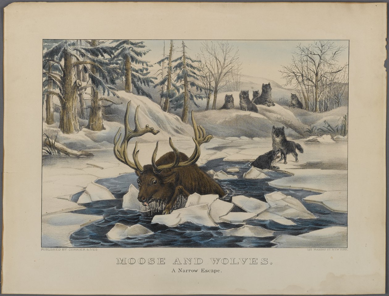 Eland en wolven, een nauwe ontsnapping, uitgegeven door Currier & Ives, New York door American School