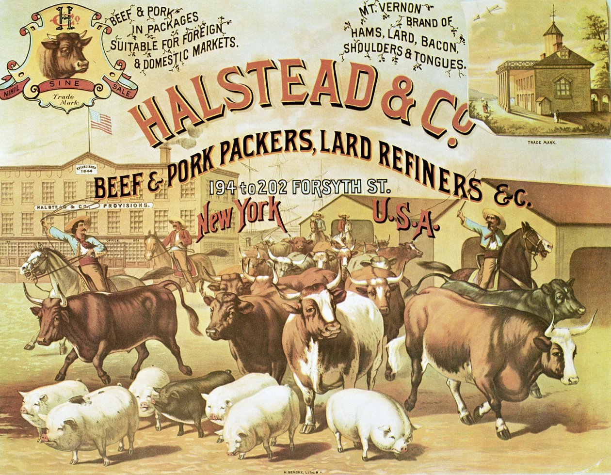 Beef & Pork Packers, c.1880 door American Photographer