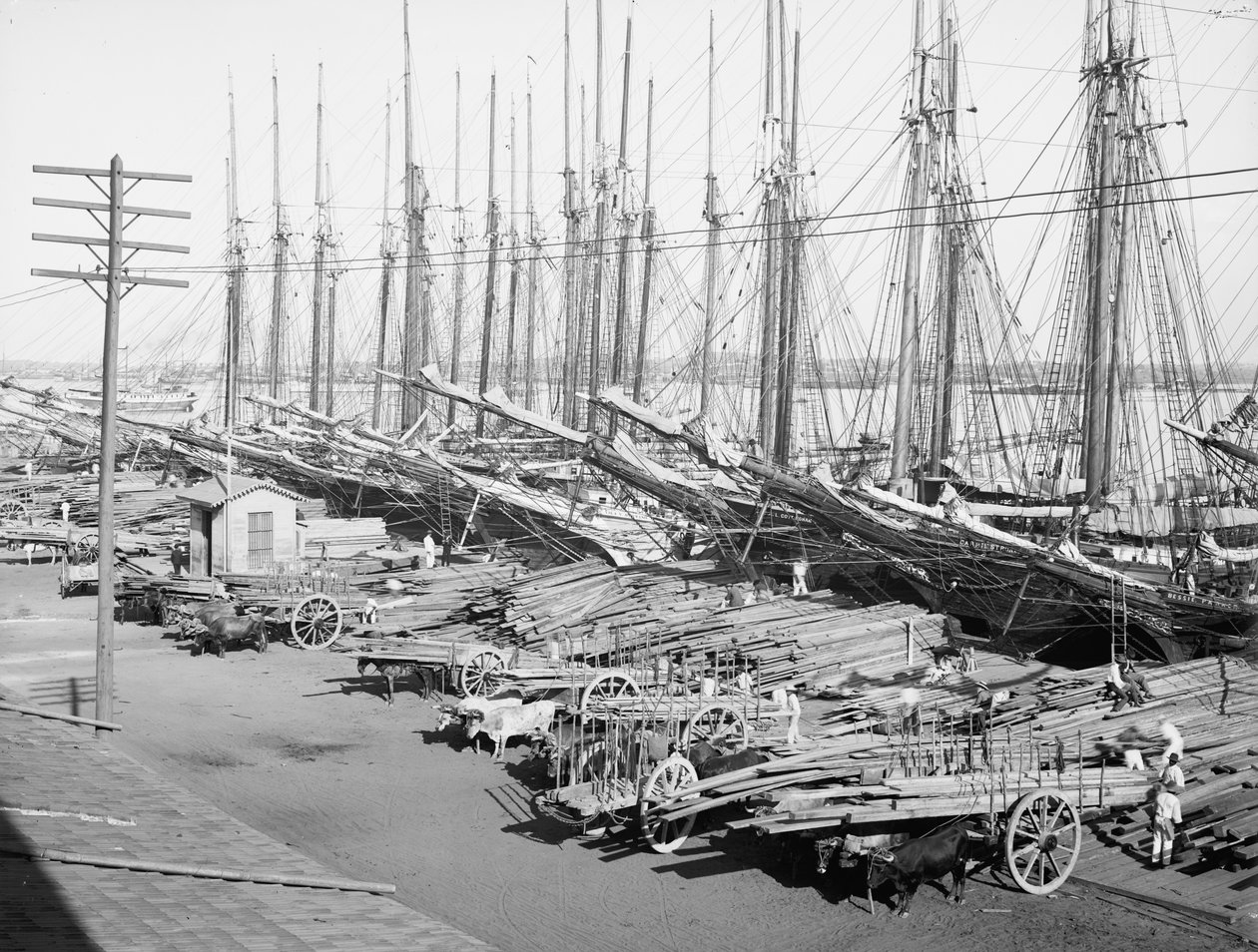 Muelle Tallapiedras, Havana, ca. 1904 door American Photographer