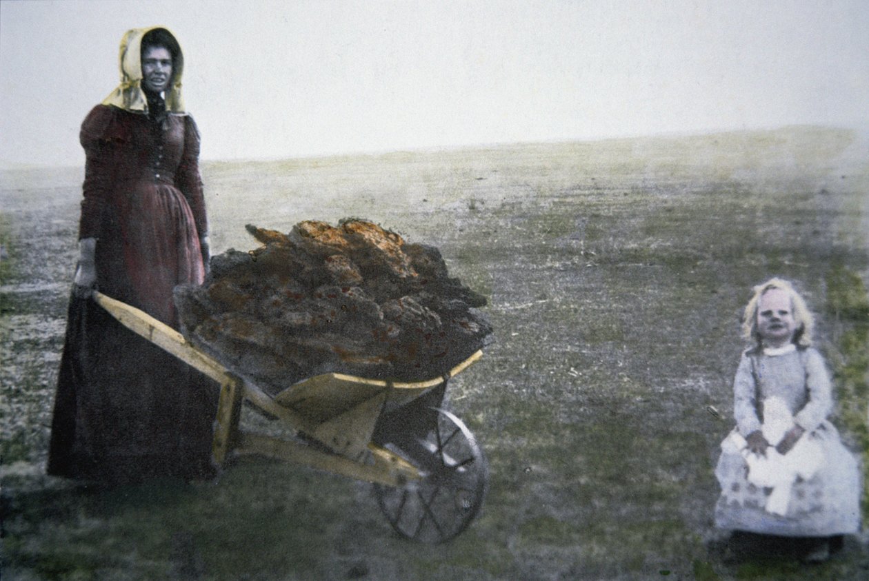Pioniersvrouw verzamelt koeienmest, Kansas, ca. 1880 door American Photographer