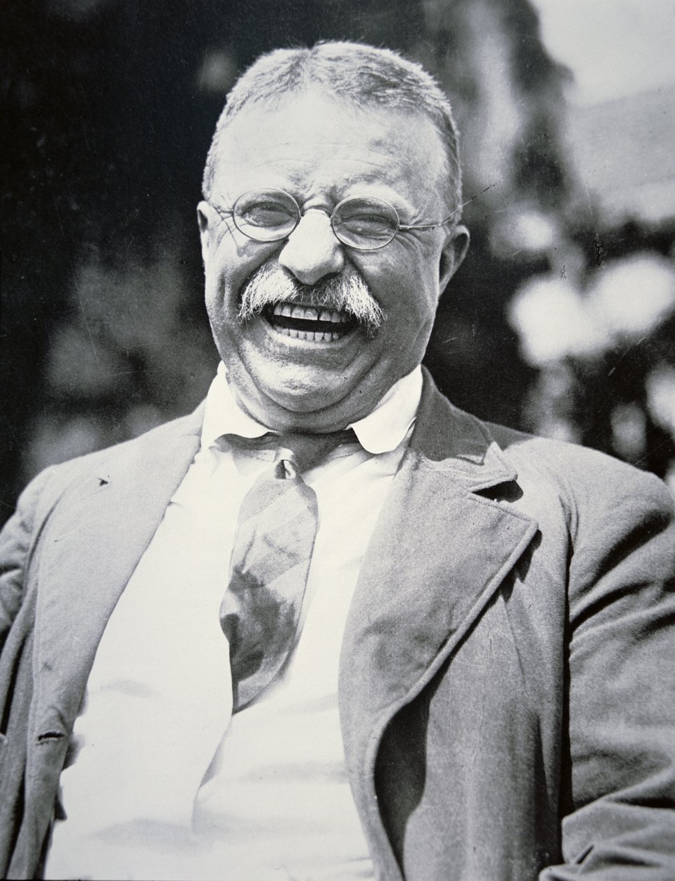 President Theodore Roosevelt, ca. 1917 door American Photographer
