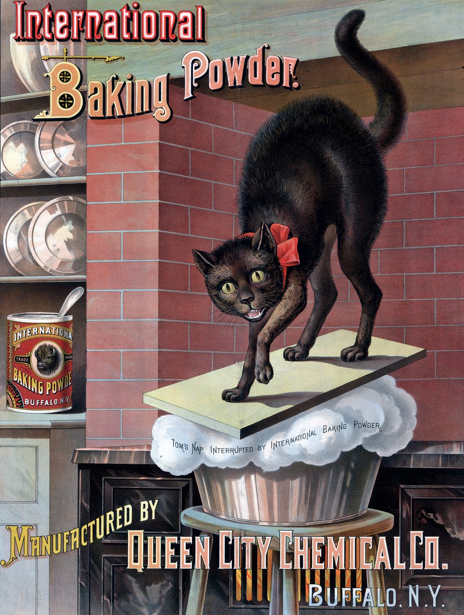Zwarte kat gewekt door rijzend brooddeeg, ca. 1885 door American School