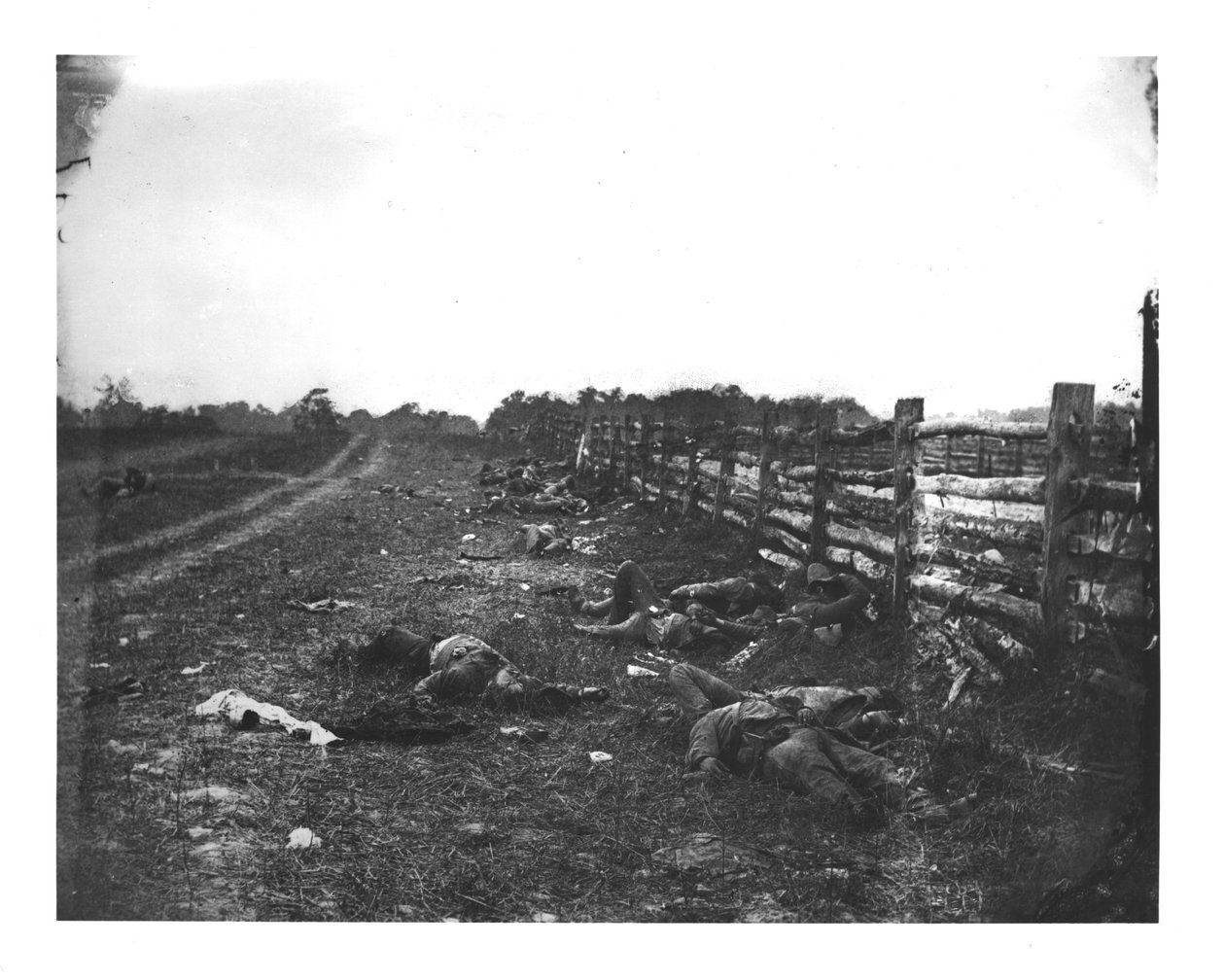 Geconfedereerde doden langs de westkant van Hagerstown Pike, Slag bij Antietam, 19 september 1862 door American School