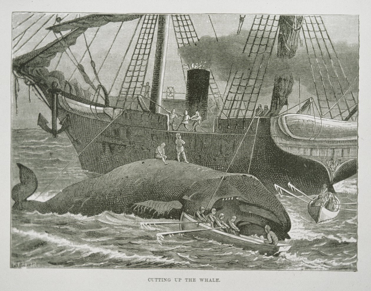 Het in stukken snijden van de walvis, uit The American Whale Fishery, c.1850 (gravure) door American School
