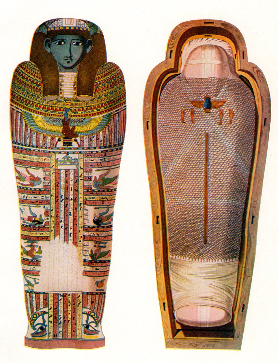 Egyptische Mummie en Sarcofaag door American School