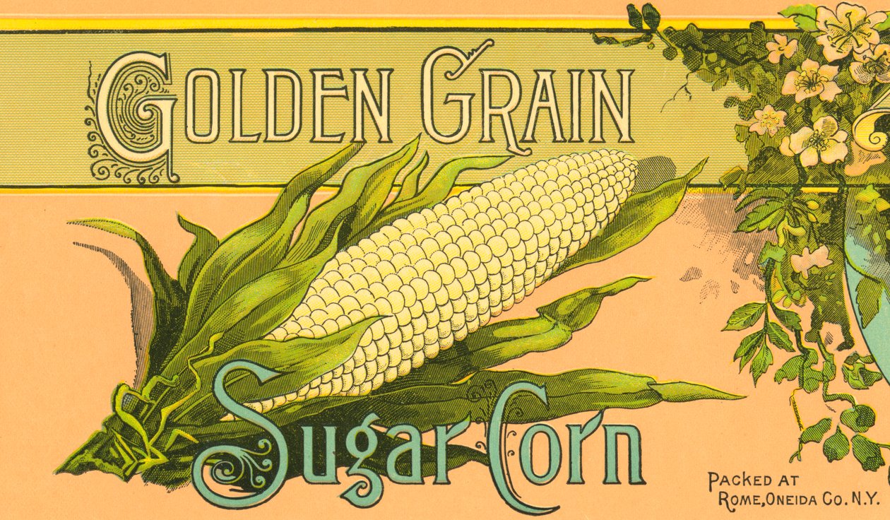 Golden Grain Sugar Corn Product Label, ca. 1890 door American School