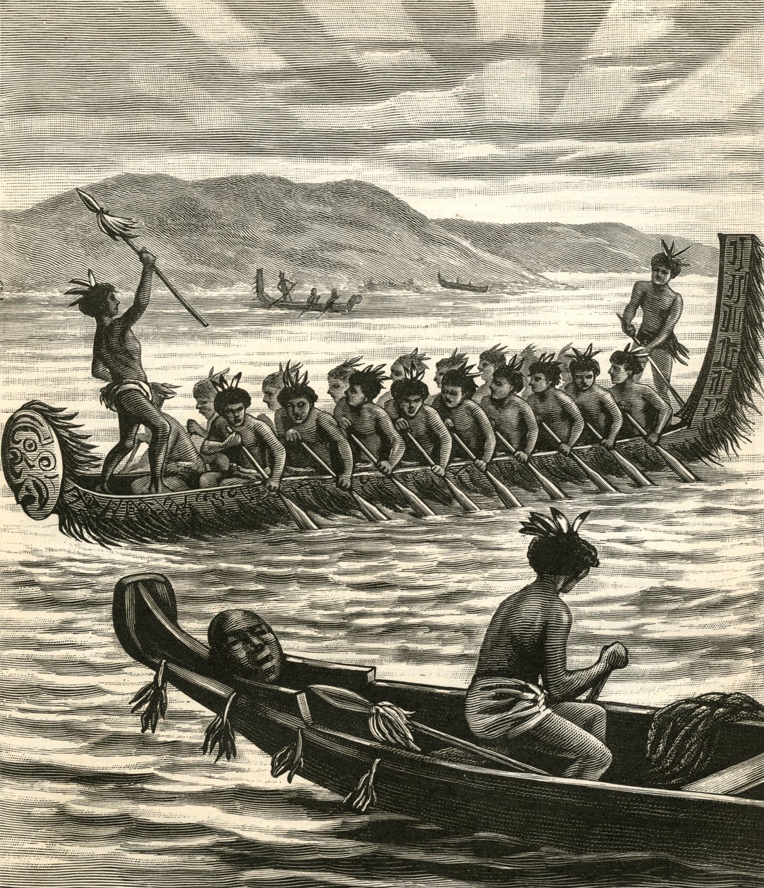 Illustratie van Maori krijgers in kano