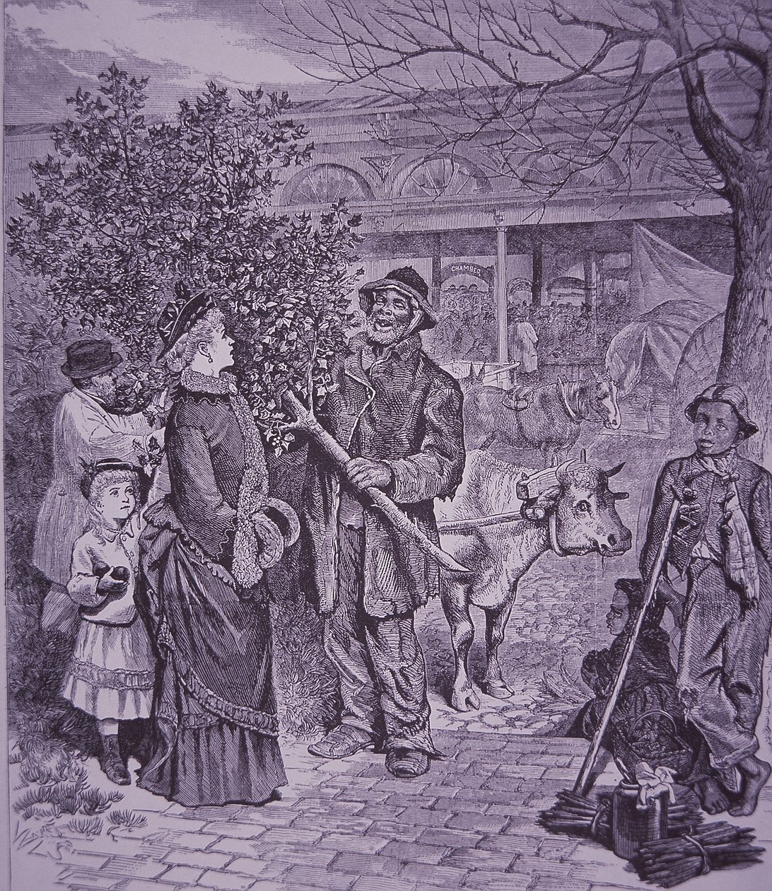 Verkoop van kerstbomen in Richmond, Virginia door American School