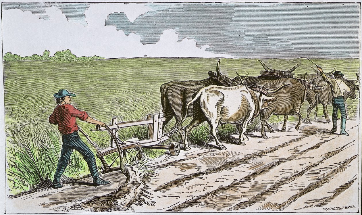 Sodbusters van het Amerikaanse Westen, ca. 1880 (gekleurde gravure) door American School