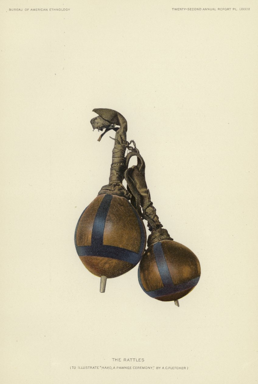 De rammelaars (kleurenlitho) door American School