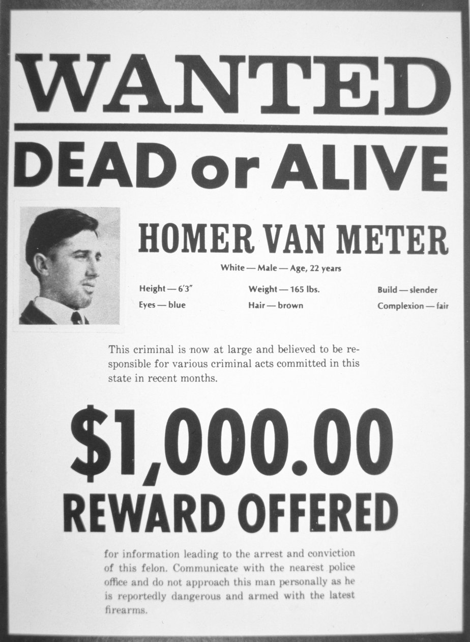 Gezocht poster voor Homer van Meter door American School
