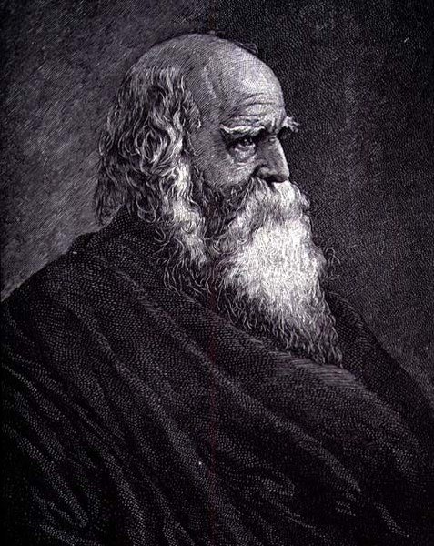 William Cullen Bryant door American School