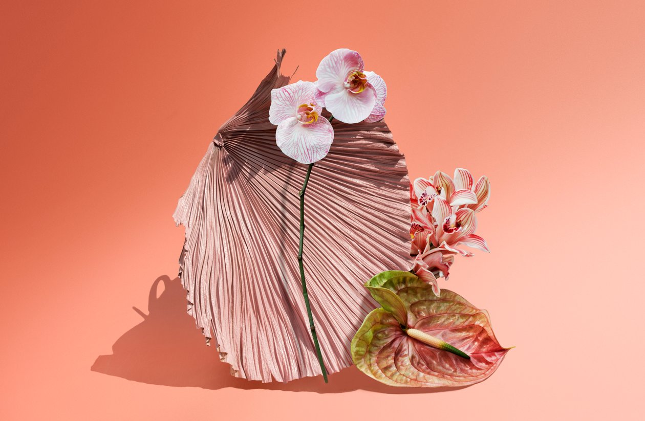 Ikebana 06, 2018 (fotografie) door Ana Carolina Tavares Mizrahi