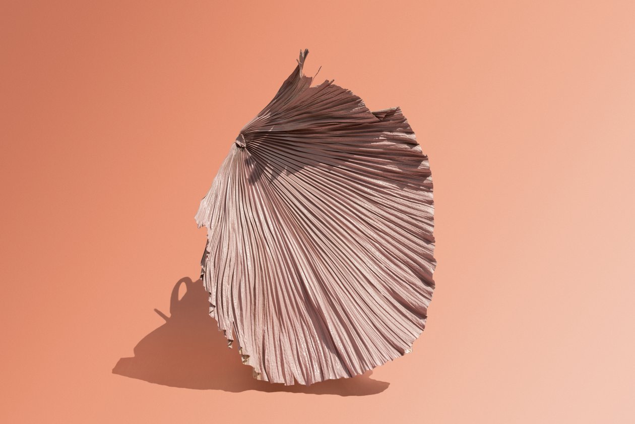 Ikebana 07, 2018 (fotografie) door Ana Carolina Tavares Mizrahi