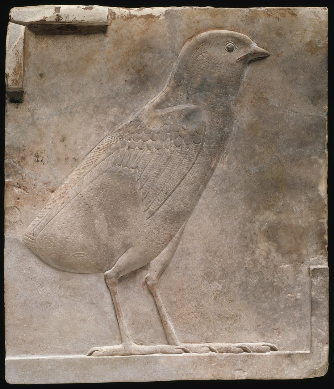 Plaquette met afbeelding van een kwartelkuiken door Ancient Egyptian