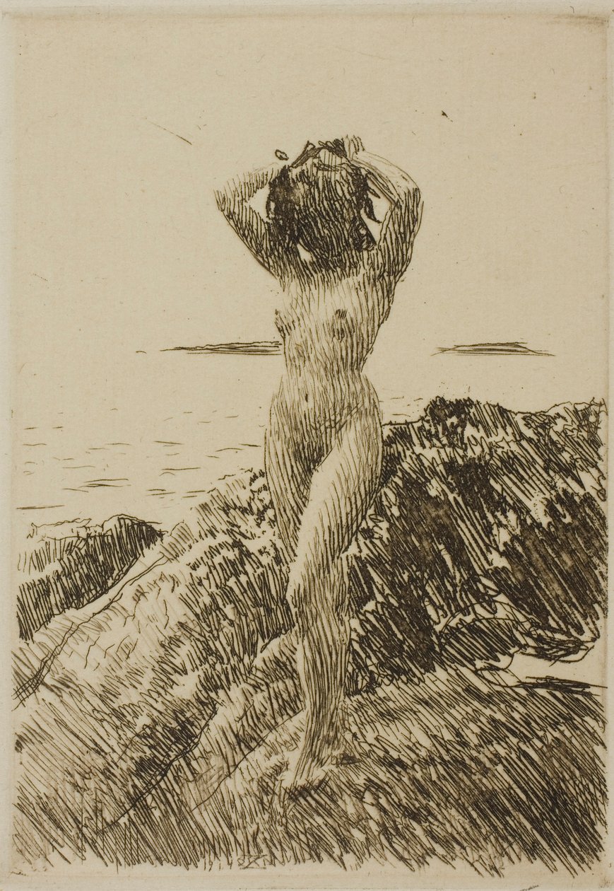 Hårtång (Zeewierkrans) door Anders Zorn