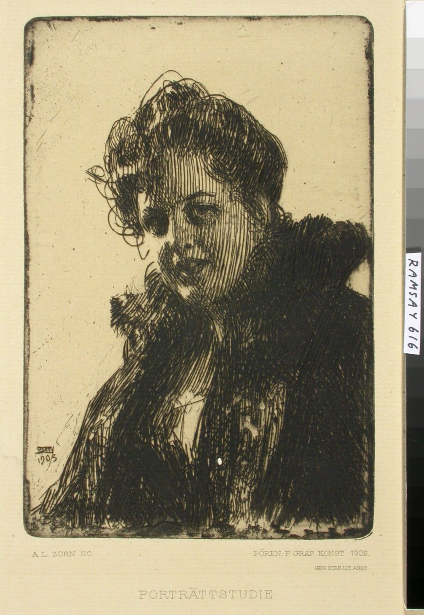 Zonder titel door Anders Zorn