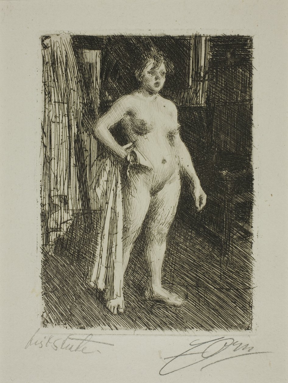Venus van La Villette door Anders Leonard Zorn