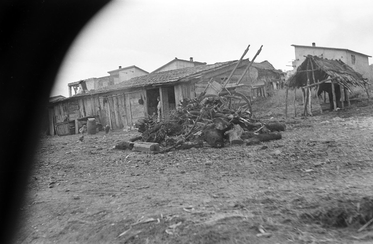 CROTONE - HET DORP VAN DICHTBIJ, door Ando Gilardi
