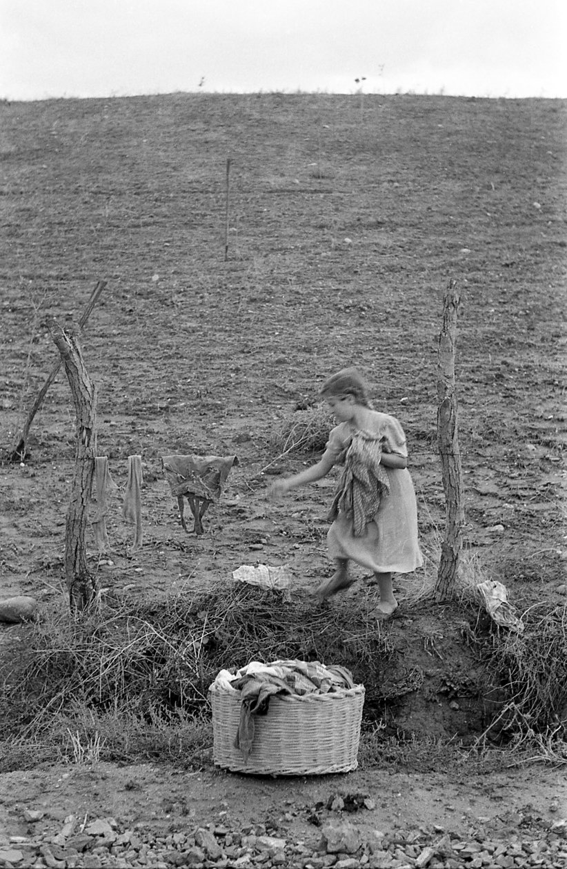 PLATTELAND VAN CROTONE - DE KLEINE WASMAN, door Ando Gilardi