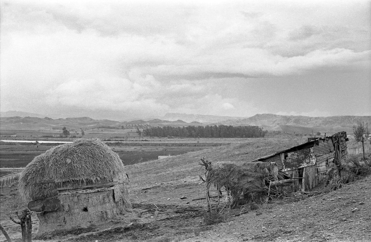 KEET MET SCHUUR door Ando Gilardi