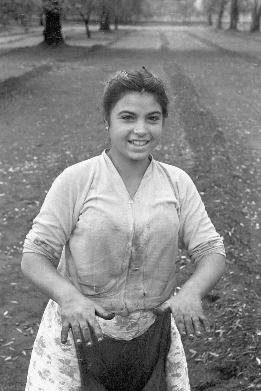 JONGE OLIJVENPLUKKER door Ando Gilardi