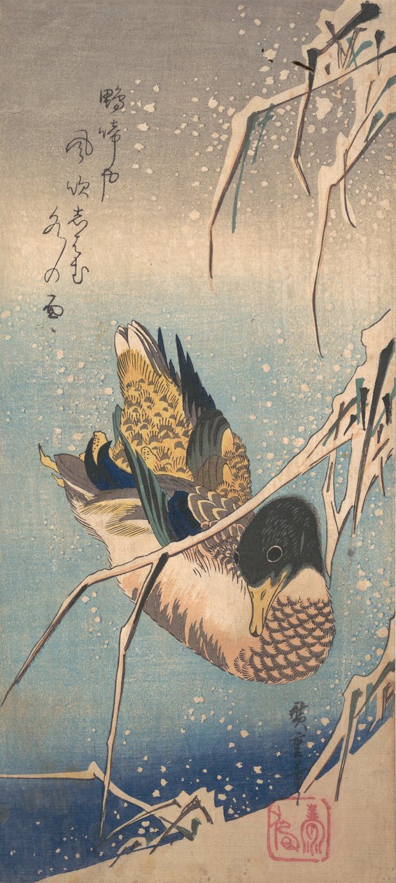 Een Wilde Eend bij een Met Sneeuw Beladen Oever door Ando Hiroshige