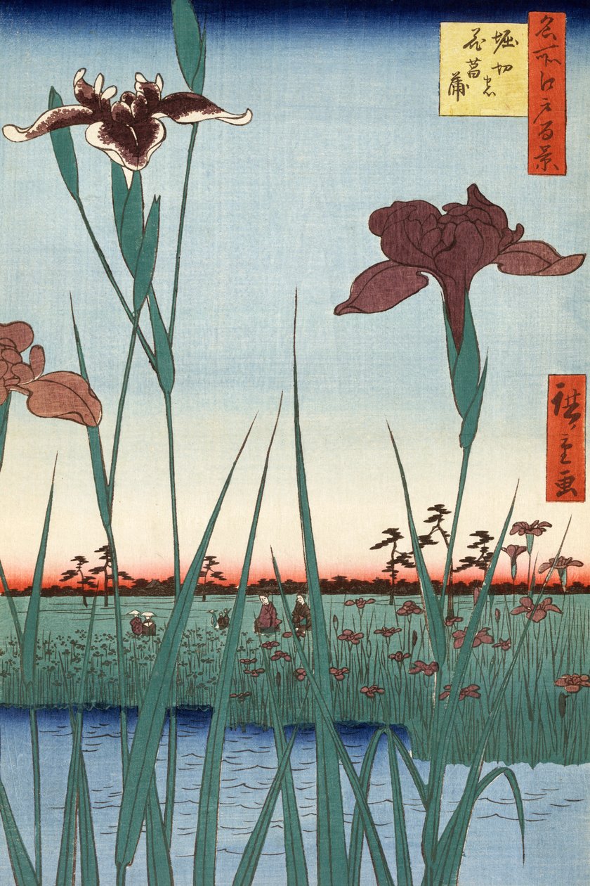 Horikiri Iris Tuin door Utagawa Hiroshige door Ando or Utagawa Hiroshige