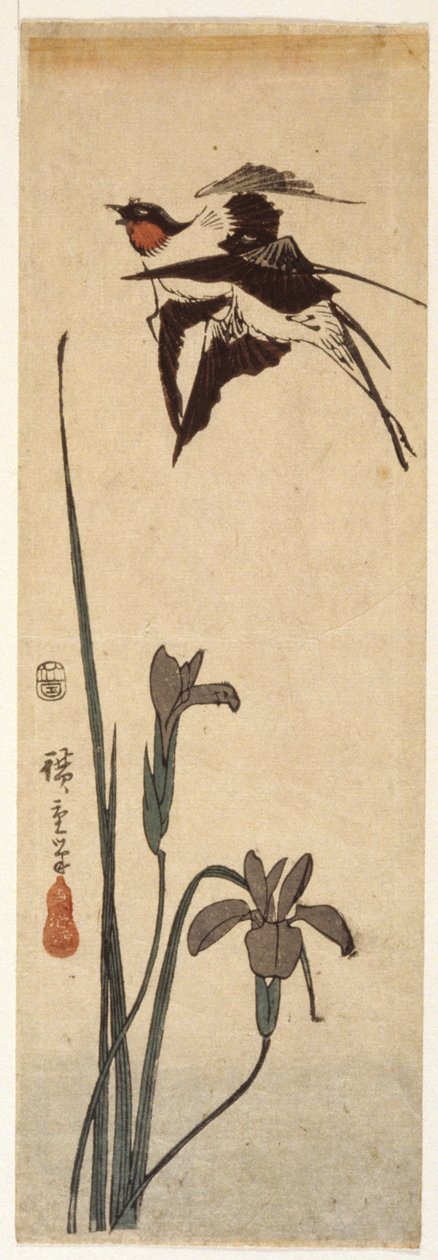 Zwaluwen en iris door Ando or Utagawa Hiroshige