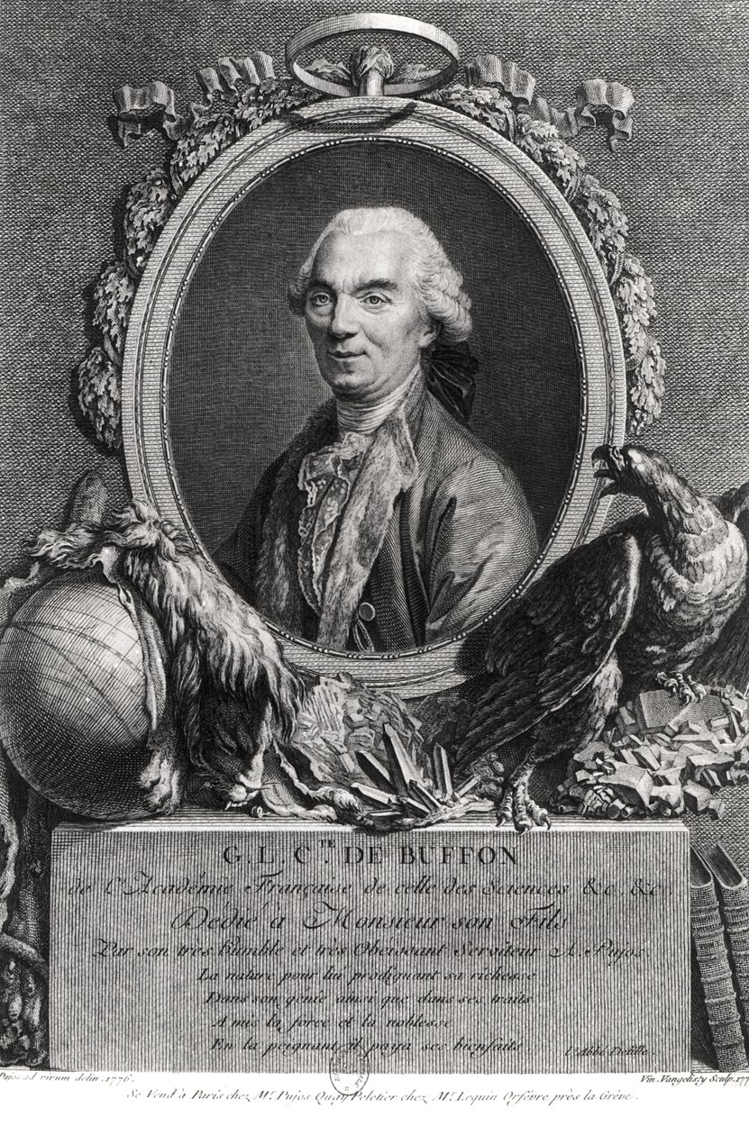 Georges-Louis Leclerc (1707-88) Graaf de Buffon, gegraveerd door Vincenzio Vangelisti (1738-98) 1777 door Andre Pujos