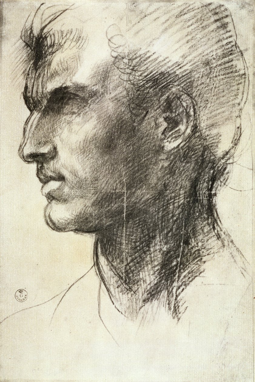 Studie van een mannelijk hoofd door Andrea del Sarto