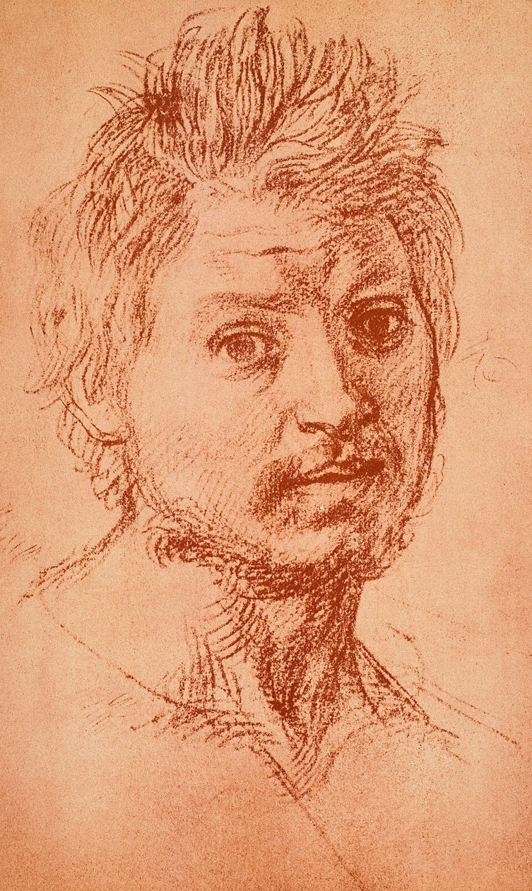 Viriel hoofd door Andrea del Sarto