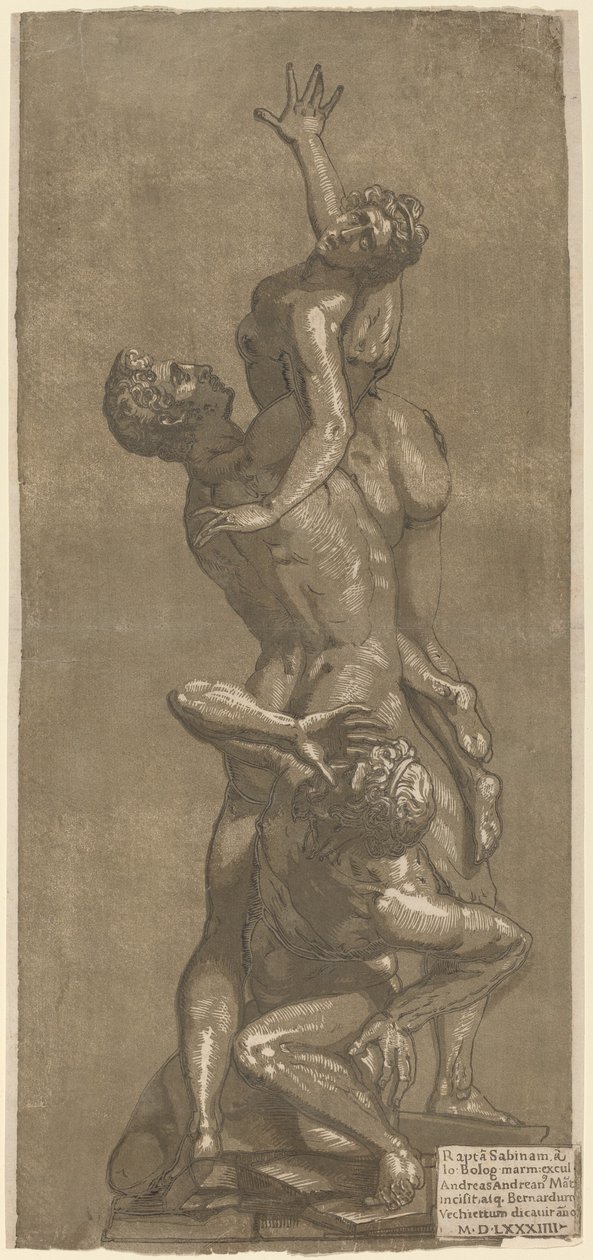 De Verkrachting van een Sabijnse, 1584 door Andrea Andreani