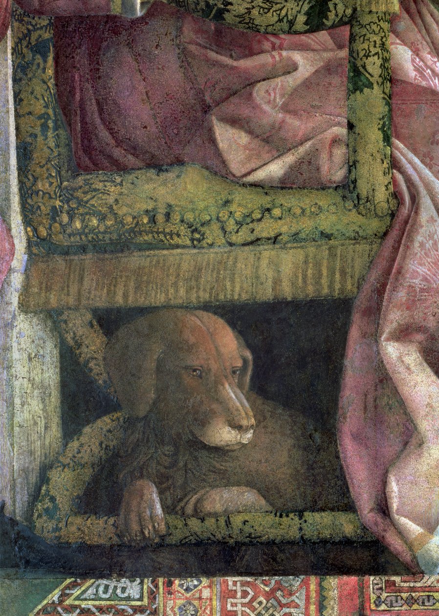 Rubino, de favoriete hond van Marchese Ludovico Gonzaga III van Mantua en zijn familie (detail) door Andrea Mantegna