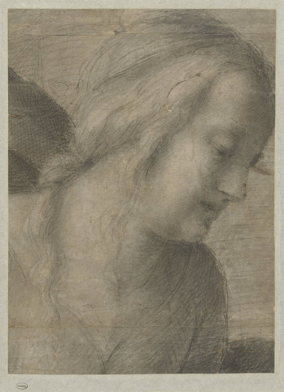Hoofd van Maria, in een Aanbidding door Andrea del Sarto