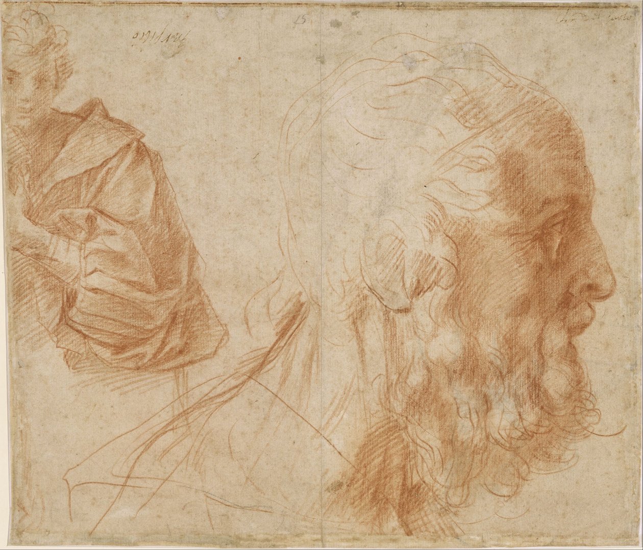 Studieblad met een jeugd en het hoofd van een oude man die naar rechts kijkt (Homerus) door Andrea del Sarto