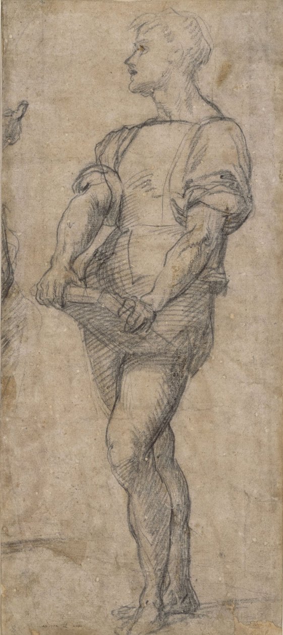 Staande jongeling met een boek, ca. 1515 door Andrea del Sarto