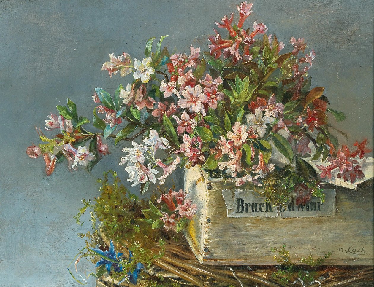 Alpine rozen in een bloembak door Andreas Lach