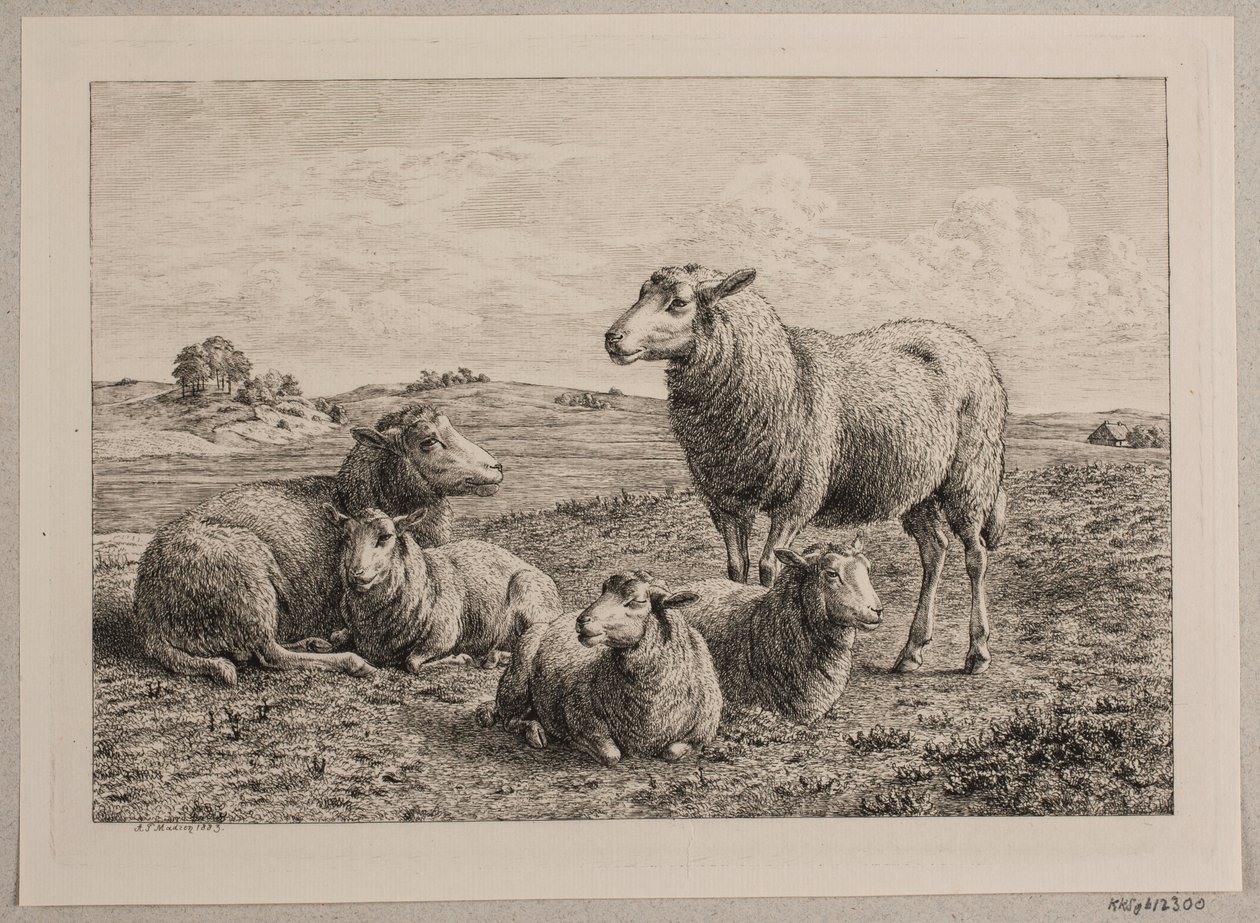 Deens: Schapen en lammeren in de wei door Andreas Peter Madsen