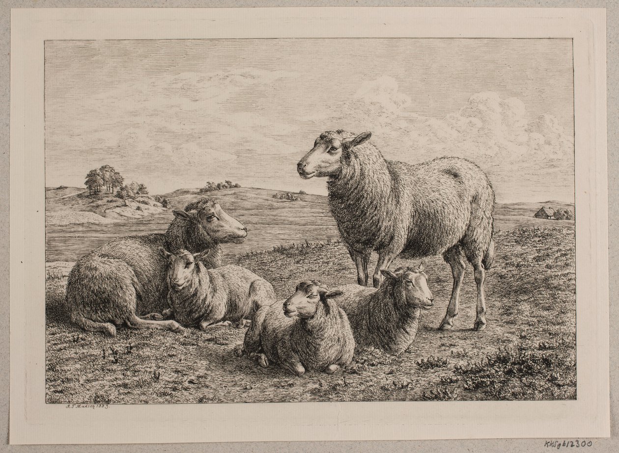 Schapen en lammeren op het veld door Andreas Peter Madsen