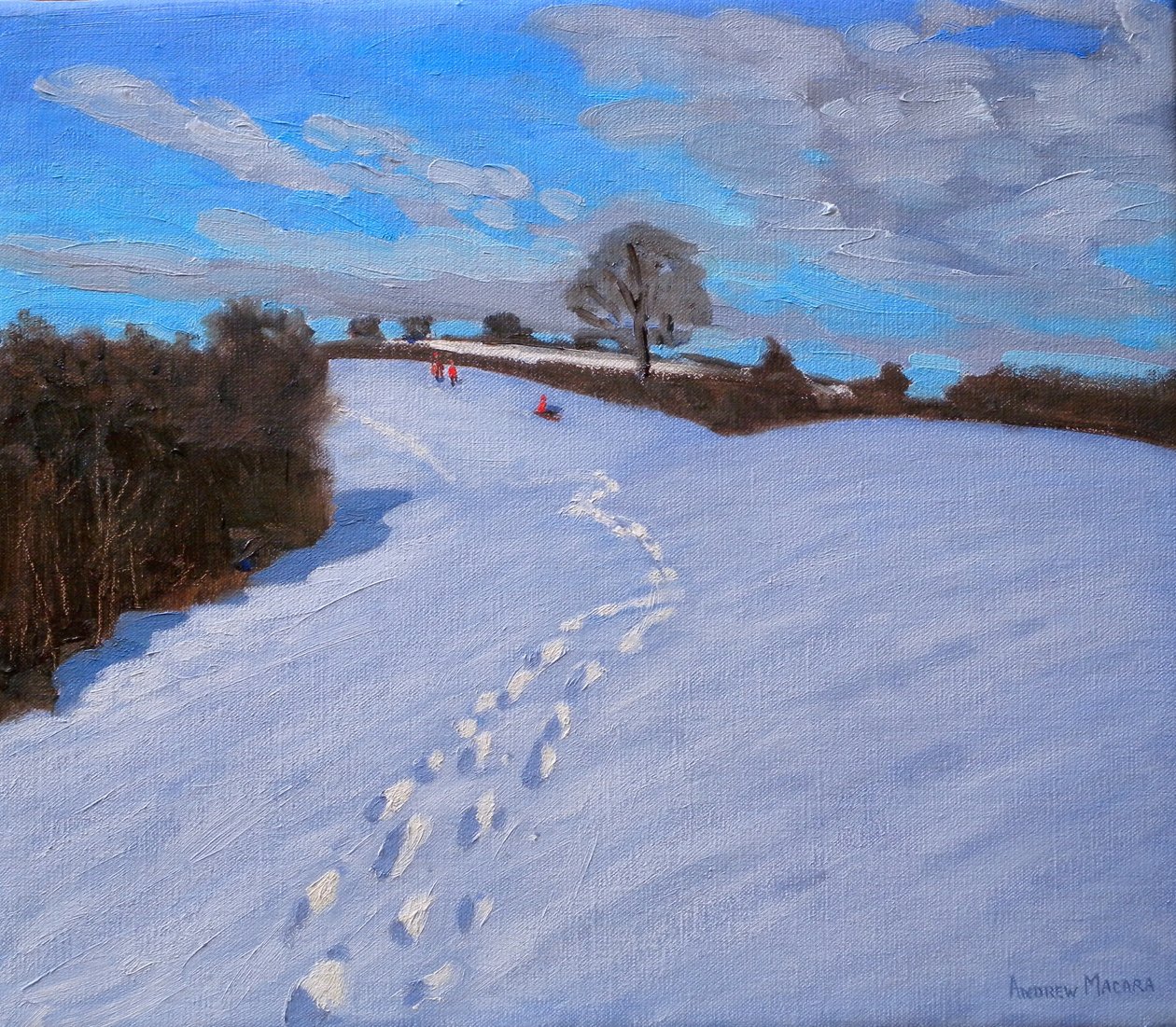 Voetafdrukken in de sneeuw, 2009 door Andrew Macara