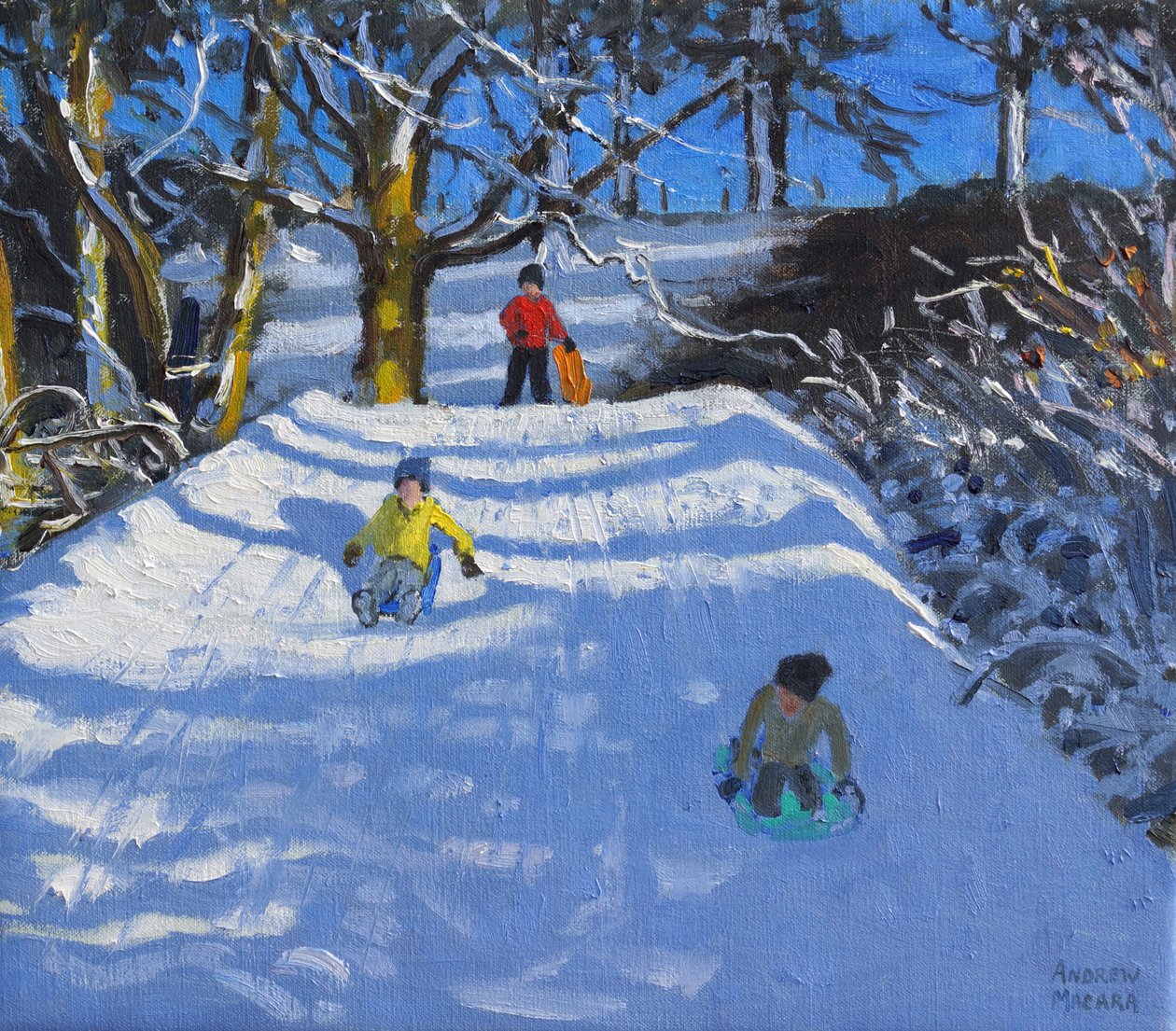 Plezier in de sneeuw, Wash Green, Derbyshire, 2014 door Andrew Macara