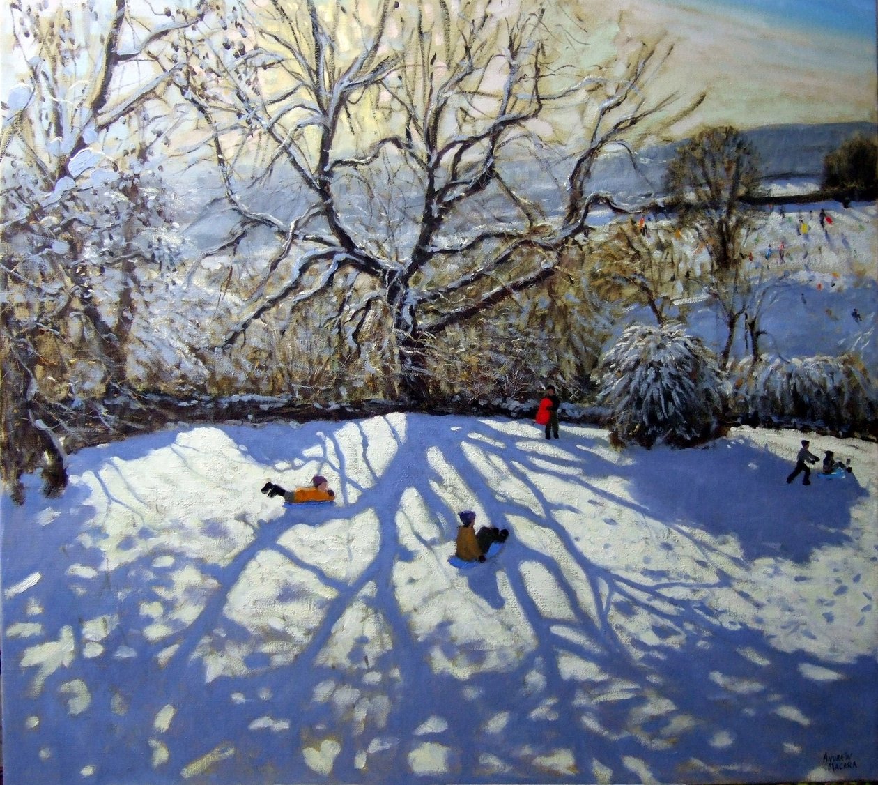 Grote boom en sleerijders, Youlgreave, Derbyshire door Andrew Macara