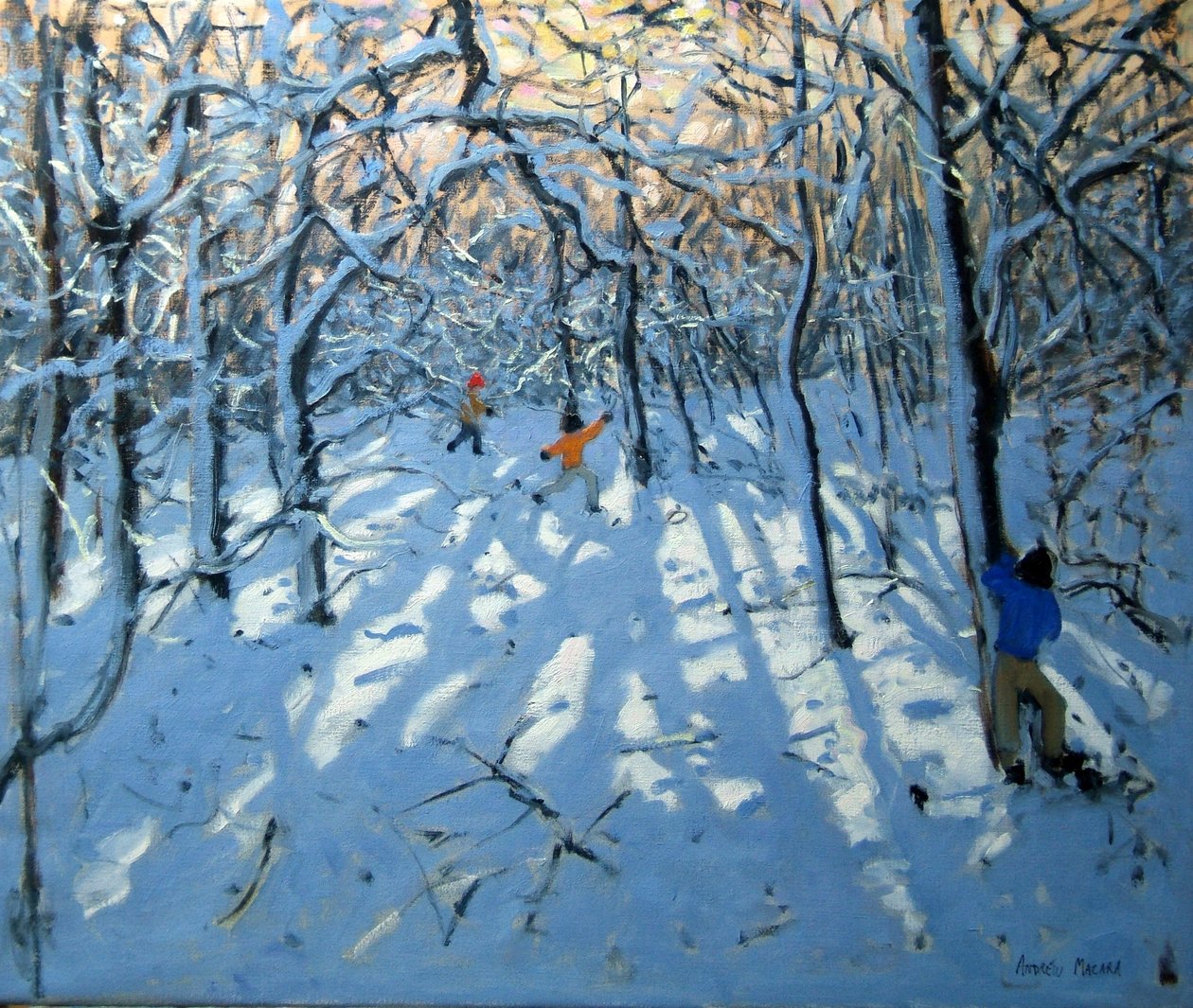 Winterbos, nabij Newhaven, Derbyshire door Andrew Macara