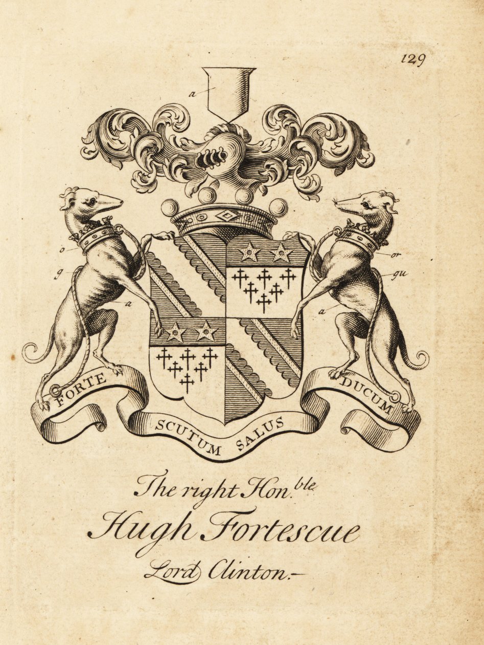 Wapen van de Hooggeachte Hugh Fortescue door Andrew Johnston